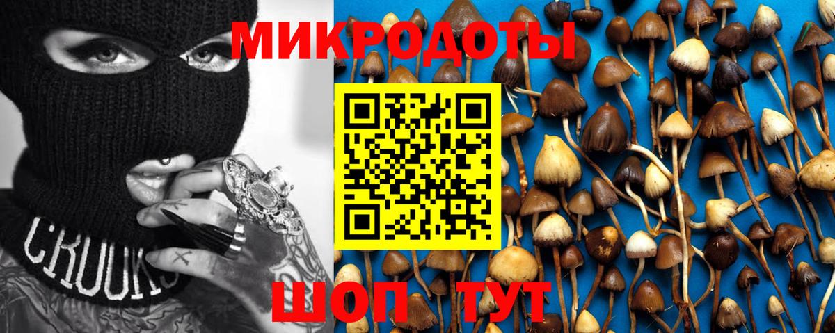 Галлюциногенные грибы GOLDEN TEACHER  Галлюциногенные грибы ЛСД  Вход с VPN  Тобольск 