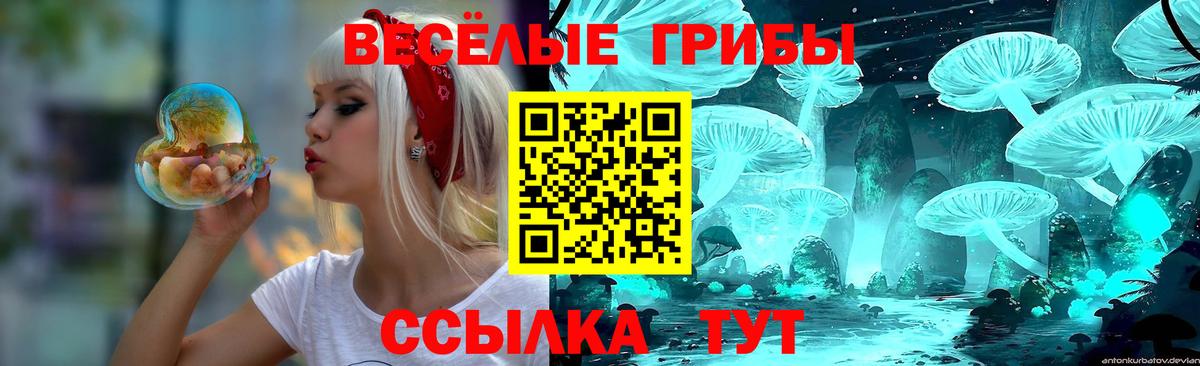 Галлюциногенные грибы Cubensis Тобольск